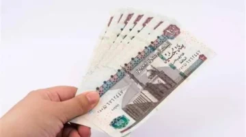 بشبهة مستحقي رمضان.. وزارة العمل تحدد الفئات المشمولة بمنحة العمالة غير المنتظمة